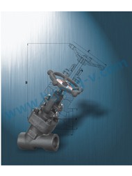 DIN/API Forged steel Y type thread globe valve